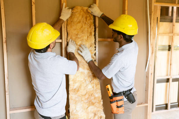 Best Fiberglass Insulation  in Hailey, ID